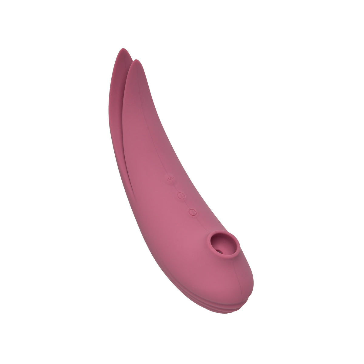 Licking & Suction Bird