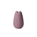 Nut Vibrator